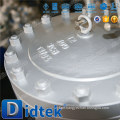 Didtek High Quality Cast Steel Swing Type Check Valve